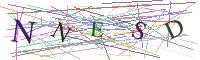 Visual Captcha
